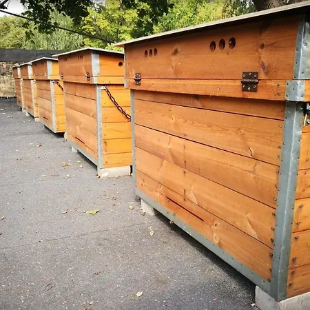 Dzīvoklis Honeycomb Tiny