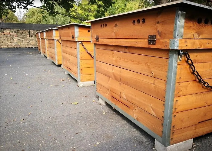 Dzīvoklis Honeycomb Tiny