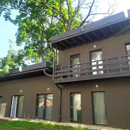 Daire Honeycomb Tiny *